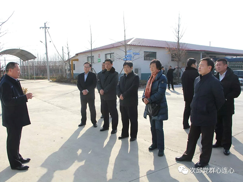 市政協(xié)原副主席、民建市委原主委?；萏m，市人大常委、民建市委副主委周中穩(wěn)一行到我公司調(diào)研蘆花雞養(yǎng)殖發(fā)展情況